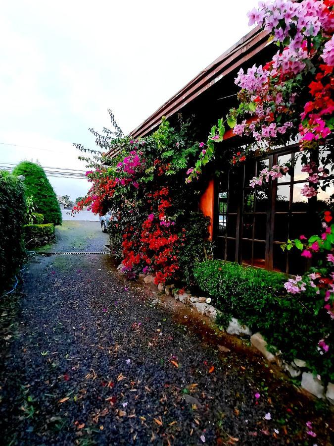 Cabanas San Miguel Alto Boquete Exteriör bild